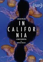 Documentary